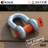 Galvanized Screw Pin US Type Steel Drop Forged D Shackle