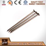 Common Round Wire Nail