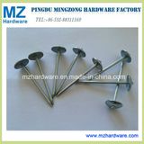 China Unbrella Head Roofing Nails with Umbrella Head