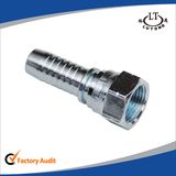 Female 60 Degree Cone Bsp Pipe Fittings