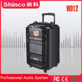 Shinco New Design Portable Bluetooth Trolley 12''karaoke Wireless Speaker