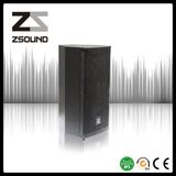 C8 250W Professional Performance Stage/Home Theater PA Speaker