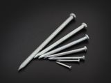 Galvanized Concrete Nail with Fluted Shank in Material 55# for Construction