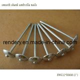 Galvanized Roofing Nail Umbrella Head Roofing Nail with Spiral Shank Umbrella Nails Building Nails