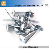 Plain Shank Umbrella Galvanized Roofing Nails