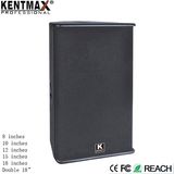 Ls Series KTV 400W Passive Built in Amplifier Speaker