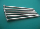 China Supplier Common Nail for Building Material