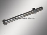 Stainless Steel Assembled Hex Bolt with Nut