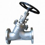 Y-Type Bolted Bonnet Globe Valve