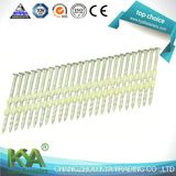 Hot DIP Galvanized Plastic Strip Nails