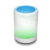 Portable Wireless Mini Bluetooth Speaker with LED Bulb