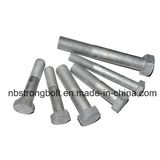 Ningbo Strong Bolt Trade Co., Ltd.