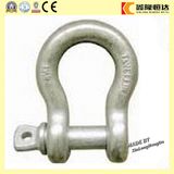 Stainless Steel Us Type G209 Screw Pin Bow Shackle