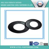 Spring Washer with Black Finish (DIN127)