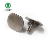 Special M5 Stainless Big Flat Thin Head /T Head Machine Bolt