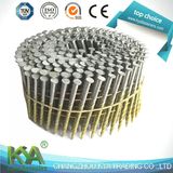 15 Degree Hot DIP Galvanized Coil Nails