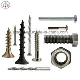 Self Tapping Screw/Machine Screw/Wood Screw with High Quality