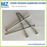 High Quality Common Iron Hardware Nail