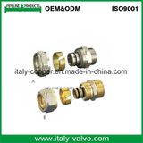 ISO9001 Certified Brass Female Straight Fitting/Pex Fitting (AV9052)