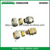 ISO9001 Certified Brass Female Straight Fitting/Pex Fitting (AV9052)