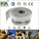 15 Degree Plastic Sheet Coil Nails