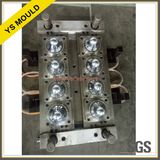 Wide Mouth Jar Pet Preform Mould