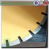 Fan-Shaped Edge Cutting Blade-Diamond Cutting Saw Blade for Granite