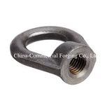 Stainless Steel Lifting Eye Bolt for Machinery Electrical and Building