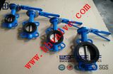 Stainless Manual Butterfly Valve for Building Pipelines