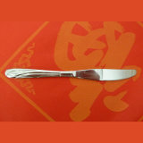 Stainless Steel Knife (CY-SK2021)