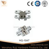 Concealed Brass Iron Ss Hardware Door Hinge (HG-1047)