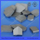 Tungsten Carbide Cutting Blade for Anchor Bit