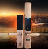 Fingerprint/Password/IC Card/Key/RF Wireless Control Door Lock for Smart Home Automation System