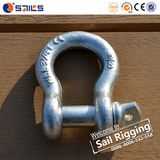 US Type Hot Dip Galvanized Drop Forged Bow Shackle