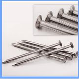 Factory Price Round Iron Nail Construction Nail