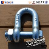 Carbon Steel Drop Forged U Shackle