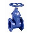 Blue Ductile Iron Gate Valve