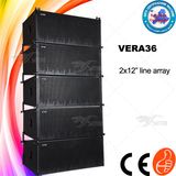 2017 New Arrival Vera36 Sound System Dual 12