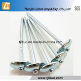 9g 2.5 Inch Galvanized Umbrella Roofing Nails