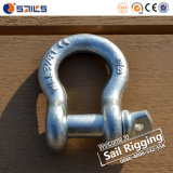 Wholesale Us Type HDG Screw Bow Shackle