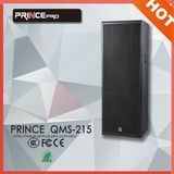 Dual 15inch Powerful PRO Audio PA Professional Speaker