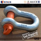 High Tensile Us Type Screw Pin D Shackle