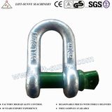 Us Type Screw or Bolt Type Anchor/Chain Shackles