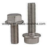 Stainless Steel Hex Head Hexagon Flange Bolt