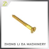 Machine High Precision Slotted Brass Screws