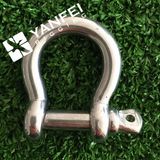 Stainless Steel AISI304/316 D Shackle