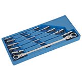 Professional Car Repair Wrench Set (MT9703) Ce