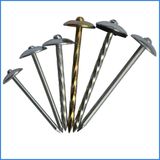 Screw Shank Umbrella Head Roofing Nail