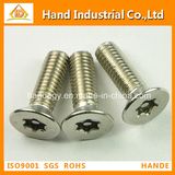 18-8 Stainless Steel Flat Torx Head Security Screw