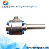 Flange Xnpt Floating Ball Valve